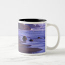 Recherche de roches tasses Côtier