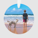 Recherche de animaux ornements Image