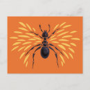 Recherche de entomologie cartes postales Animal