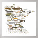 Recherche de midwest posters Nature