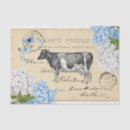 Recherche de soie bleue cartes postales Floral