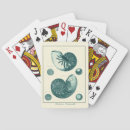 Recherche de vie marine jeux de cartes Conque