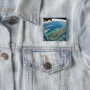 Recherche de côte est badges Paysage
