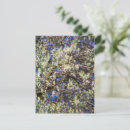 Recherche de saule cartes postales Nature