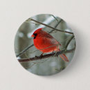 Recherche de faune badges Extérieur