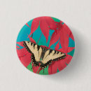 Recherche de gerbera badges Orange