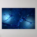 Recherche de biologie moléculaire posters Physiologie