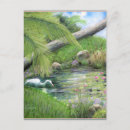 Recherche de nénuphar tropical cartes postales Étang