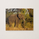Recherche de zimbabwe puzzles Faune