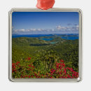 Recherche de vierge ornements Tropical