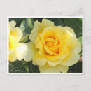 Recherche de gold cartes postales Fleur