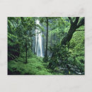 Recherche de pali cartes postales Vacances