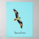 Recherche de photo de faune posters Bleu