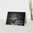 Recherche de amaryllis vœux cartes Deuil