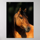 Recherche de mus posters Animal