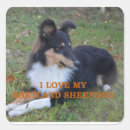 Recherche de tri autocollants Chien