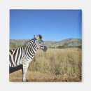Recherche de tranquille magnets Nature