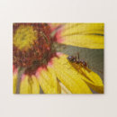 Recherche de fourmis puzzles Bogue