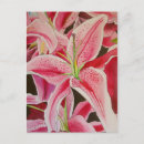 Recherche de stargazer lily posters Aquarelle