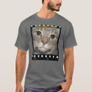 Recherche de meow de président Chat