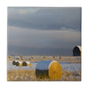 Recherche de neige carreaux Ferme