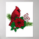 Recherche de cardinal rouge posters Baies rouges
