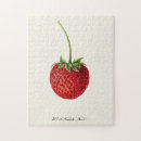 Recherche de fraisse puzzles Fruit