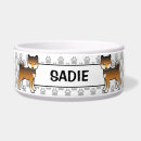 Recherche de inus de shiba Dogs