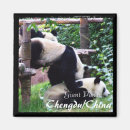 Recherche de chengdu maison deco Chine