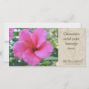 Recherche de forme horizontales photocartes Rose