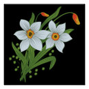 Recherche de tulipes noires posters Fleurs