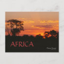 Recherche de acacia cartes postales Coucher du soleil