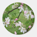 Recherche de vert pomme magnets Verger