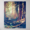 Recherche de séquoia géant posters Arbres