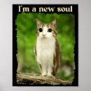 Recherche de hibou drôle posters Mème