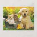 Recherche de golden retriever posters Chien