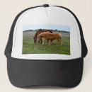 Recherche de palomino casquettes Animal