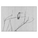 Recherche de colibri planches à découper Faune