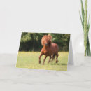 Recherche de poney shetland vœux cartes Animal