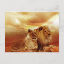 Recherche de de lion cartes postales Vacances