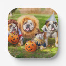 Recherche de halloween carton bols Chat