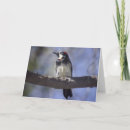 Recherche de pivert vœux cartes Faune