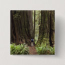 Recherche de state badges Forêt