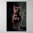 Recherche de pitbull américain posters Bulle
