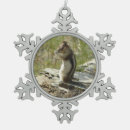 Recherche de écureuil de ornements Photographie