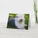 Recherche de mal anniversaire cartes Adolescent