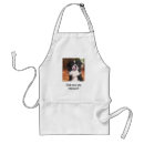 Recherche de border collie tabliers Colley