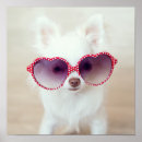 Recherche de chiwawa posters Chiot