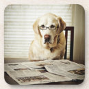 Recherche de humour bureau de dessous de verres Animal
