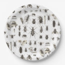 Recherche de insecte drôle Pour enfants